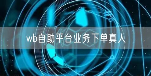 wb自助平台业务下单真人