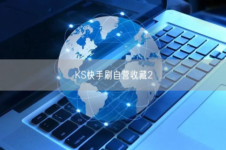 KS快手刷自营收藏2