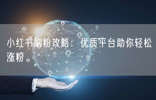 小红书刷粉攻略：优质平台助你轻松涨粉。