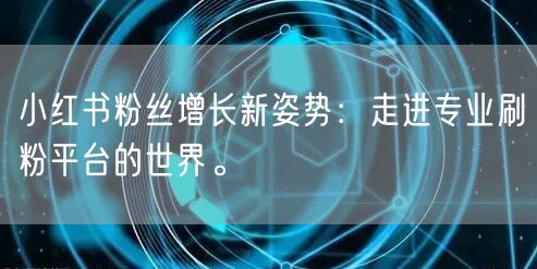 小红书粉丝增长新姿势：走进专业刷粉平台的世界。