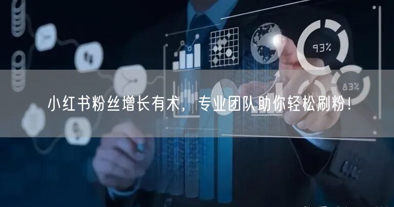 小红书粉丝增长有术，专业团队助你轻松刷粉！