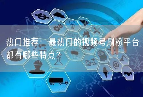 热门推荐：最热门的视频号刷粉平台都有哪些特点？