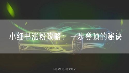 小红书涨粉攻略：一步登顶的秘诀
