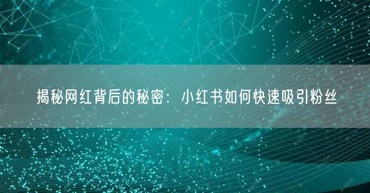 揭秘网红背后的秘密：小红书如何快速吸引粉丝