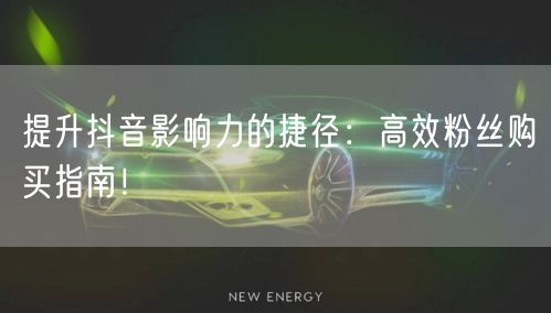 提升抖音影响力的捷径：高效粉丝购买指南！