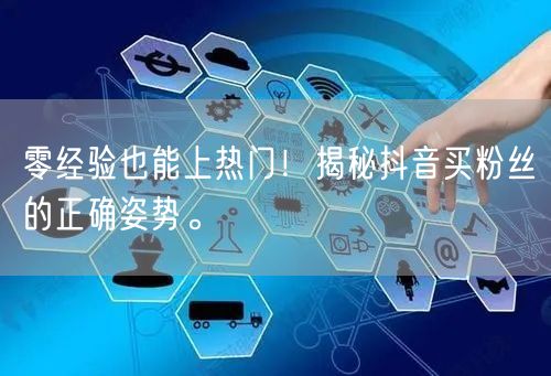 零经验也能上热门！揭秘抖音买粉丝的正确姿势。