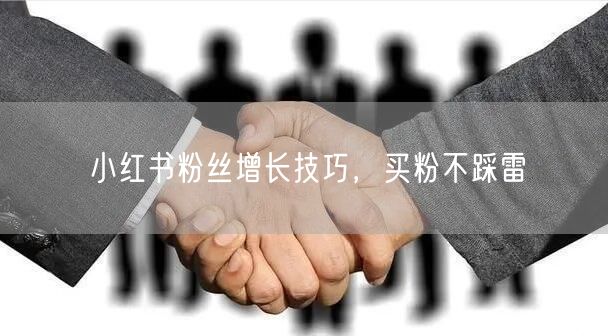 小红书粉丝增长技巧，买粉不踩雷