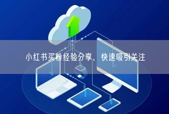 小红书买粉经验分享，快速吸引关注