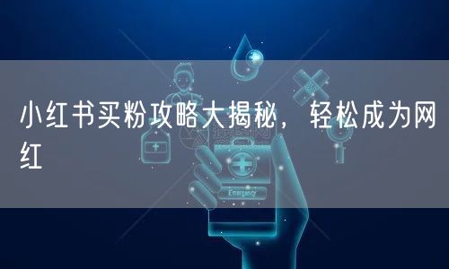 小红书买粉攻略大揭秘，轻松成为网红