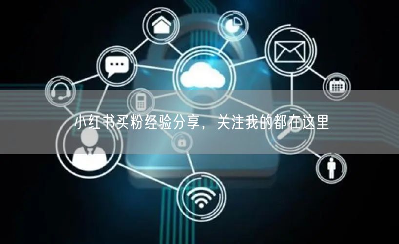 小红书买粉经验分享，关注我的都在这里