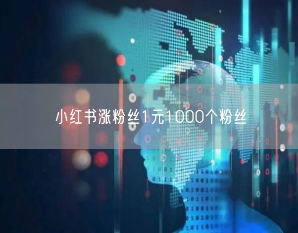 小红书涨粉丝1元1000个粉丝