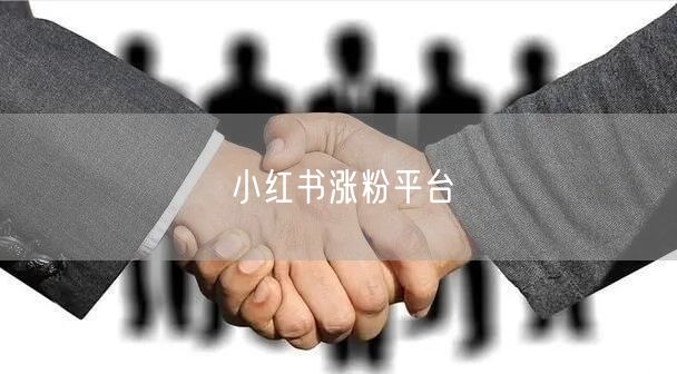 小红书涨粉平台