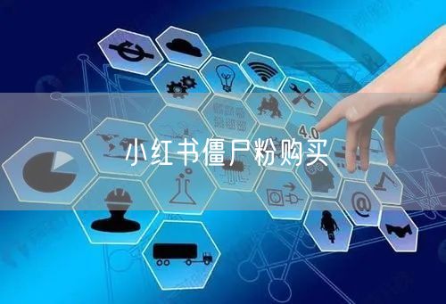 小红书僵尸粉购买