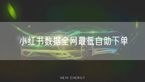 小红书数据全网最低自助下单