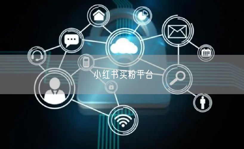小红书买粉平台