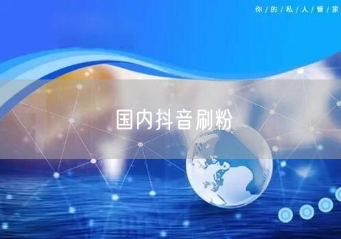 国内抖音刷粉