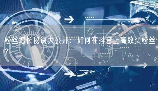 粉丝增长秘诀大公开：如何在抖音上高效买粉丝？