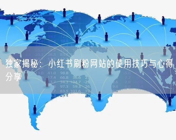 独家揭秘：小红书刷粉网站的使用技巧与心得分享