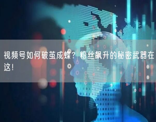 视频号如何破茧成蝶？粉丝飙升的秘密武器在这！