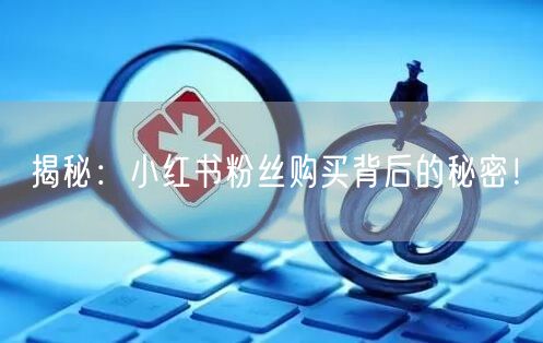 揭秘：小红书粉丝购买背后的秘密！