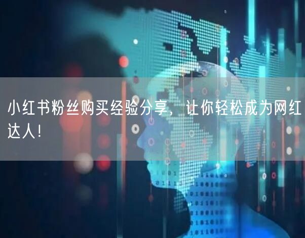 小红书粉丝购买经验分享，让你轻松成为网红达人！