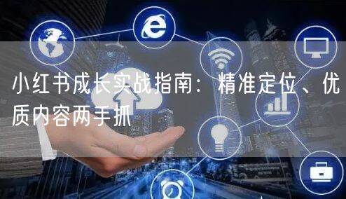 小红书成长实战指南：精准定位、优质内容两手抓