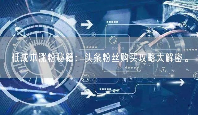 低成本涨粉秘籍：头条粉丝购买攻略大解密。
