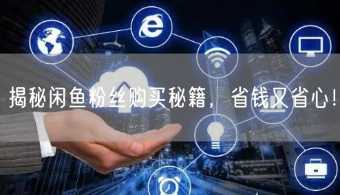 揭秘闲鱼粉丝购买秘籍，省钱又省心！