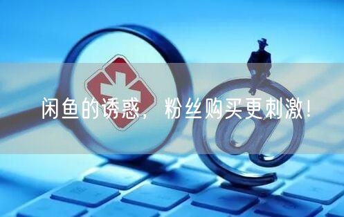 闲鱼的诱惑，粉丝购买更刺激！