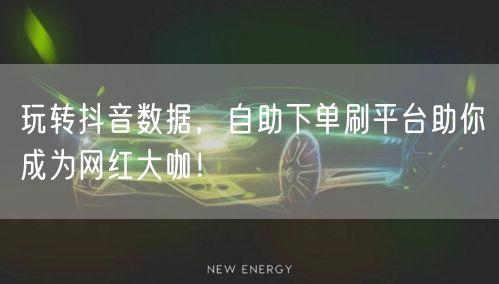 玩转抖音数据，自助下单刷平台助你成为网红大咖！