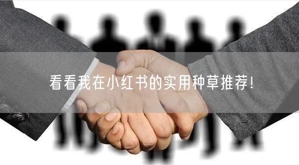 看看我在小红书的实用种草推荐！