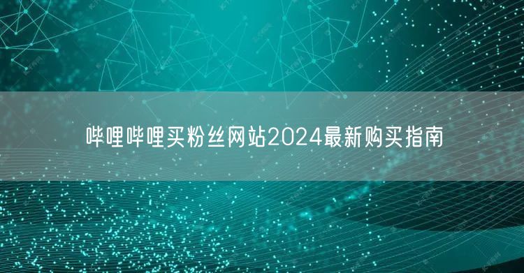 哔哩哔哩买粉丝网站2024最新购买指南
