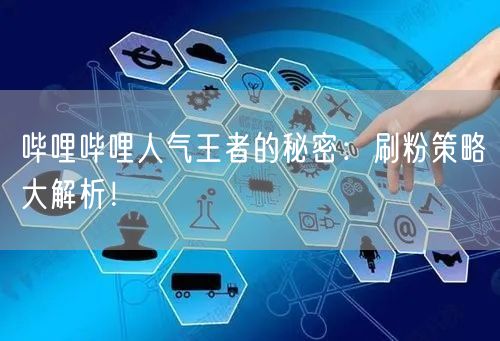 哔哩哔哩人气王者的秘密：刷粉策略大解析！