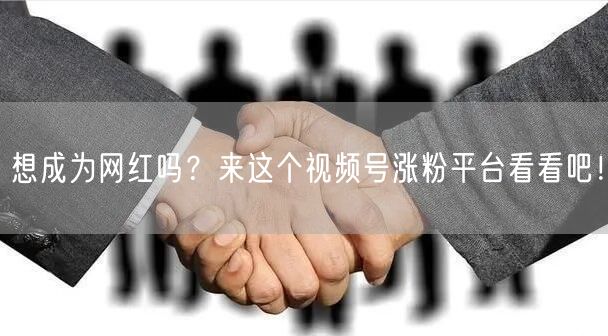 想成为网红吗？来这个视频号涨粉平台看看吧！