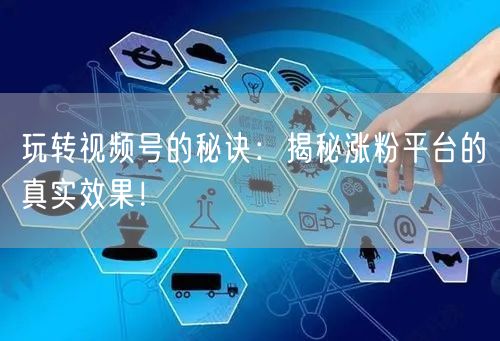 玩转视频号的秘诀：揭秘涨粉平台的真实效果！