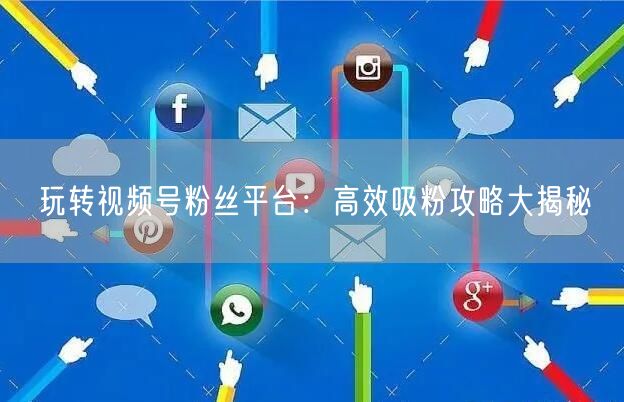 玩转视频号粉丝平台：高效吸粉攻略大揭秘