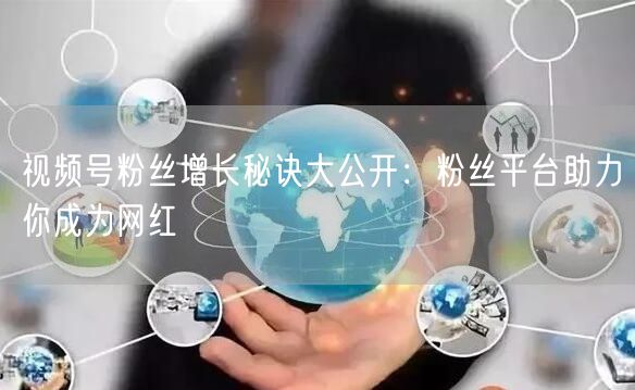 视频号粉丝增长秘诀大公开：粉丝平台助力你成为网红