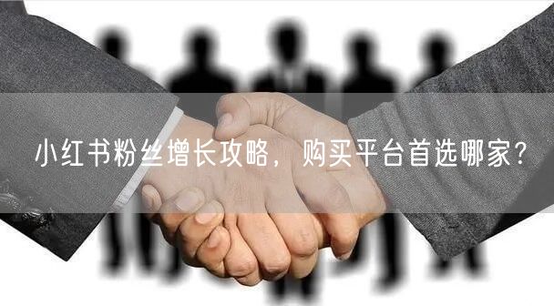 小红书粉丝增长攻略，购买平台首选哪家？