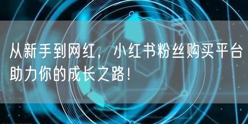 从新手到网红，小红书粉丝购买平台助力你的成长之路！