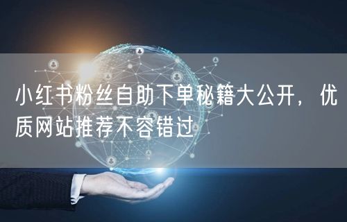 小红书粉丝自助下单秘籍大公开，优质网站推荐不容错过