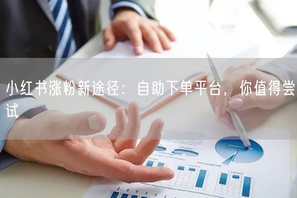 小红书涨粉新途径：自助下单平台，你值得尝试
