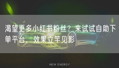 渴望更多小红书粉丝？来试试自助下单平台，效果立竿见影