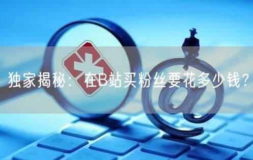 独家揭秘：在B站买粉丝要花多少钱？