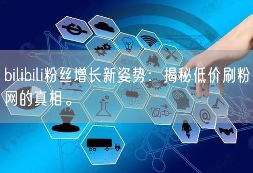 bilibili粉丝增长新姿势：揭秘低价刷粉网的真相。
