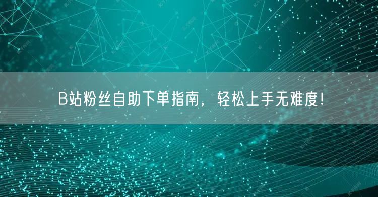 B站粉丝自助下单指南，轻松上手无难度！