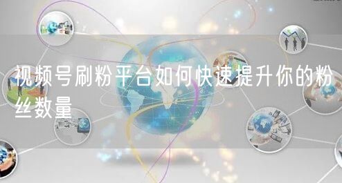 视频号刷粉平台如何快速提升你的粉丝数量