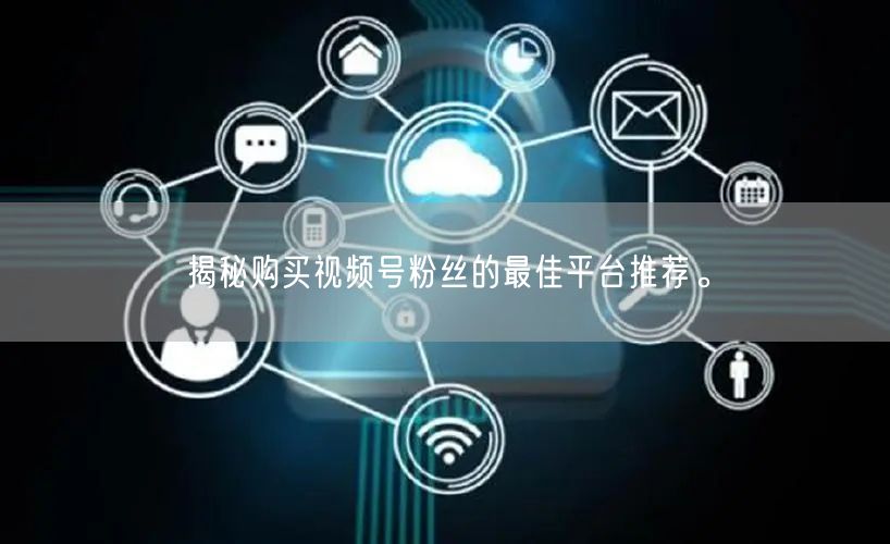 揭秘购买视频号粉丝的最佳平台推荐。