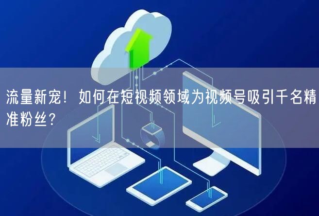 流量新宠！如何在短视频领域为视频号吸引千名精准粉丝？