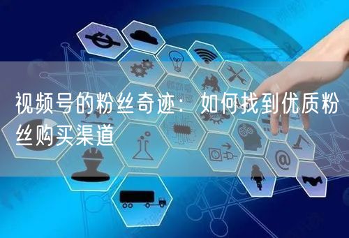 视频号的粉丝奇迹：如何找到优质粉丝购买渠道