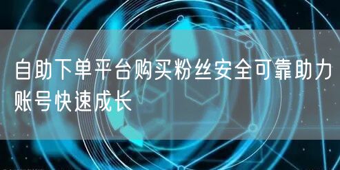 自助下单平台购买粉丝安全可靠助力账号快速成长
